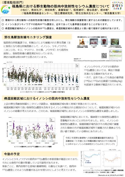 PDF画像